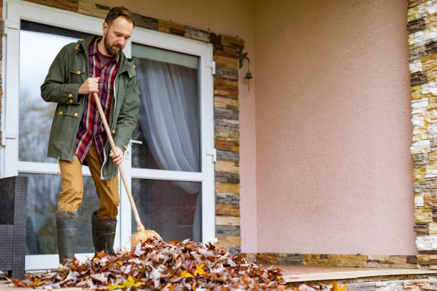 Best Basement Cleanout Services  in Homerville, GA